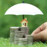 Asset Management