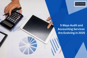 audit and accounting services