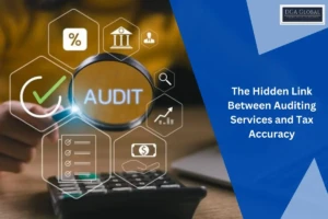 auditing services