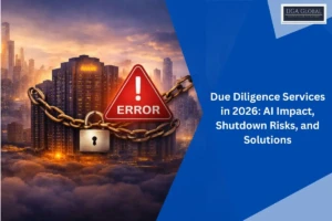 Due Diligence Services